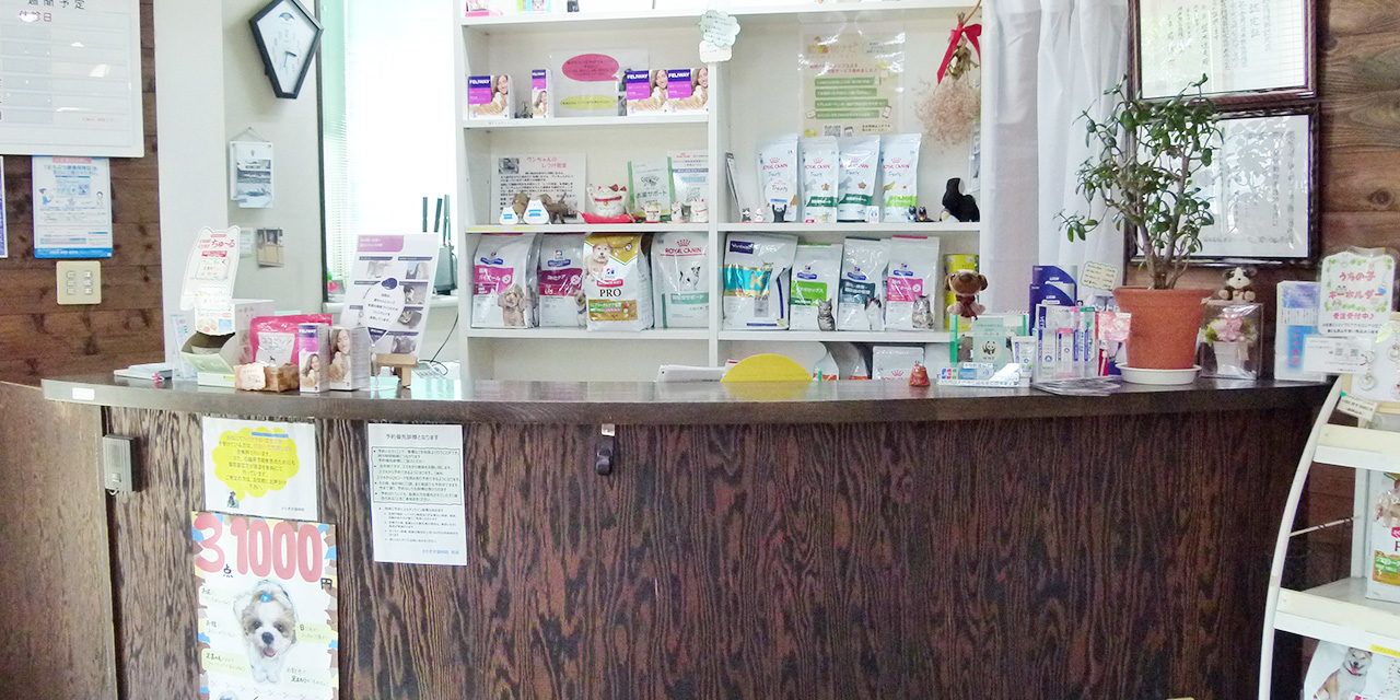 かたぎ犬猫病院