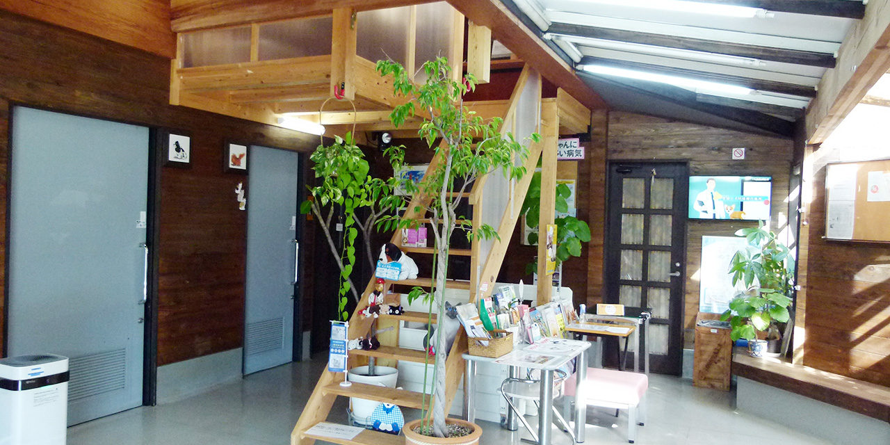 かたぎ犬猫病院